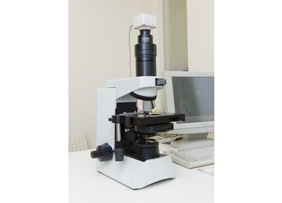 位相差顕微鏡を用いて、歯周病菌の種類を特定しております