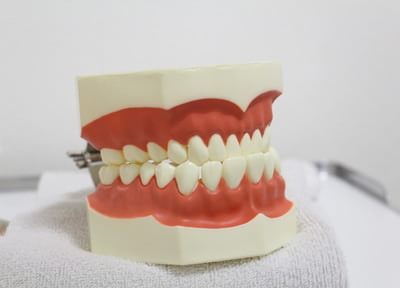 てるた歯科クリニック 入れ歯・義歯