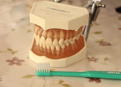 とりやま歯科医院 予防歯科