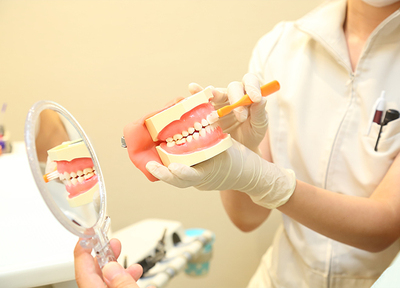 乳歯の状態は永久歯の歯並びにも影響します。学校検診で指摘された方はご相談ください