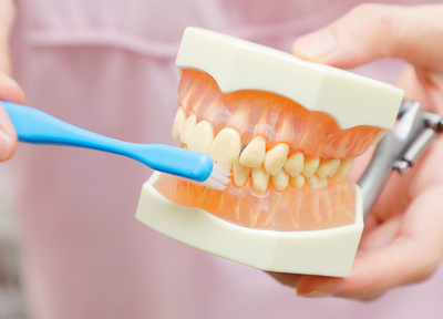 定期的なチェックにお越しいただくことも、歯やお口を守り続けるための大事な要因です
