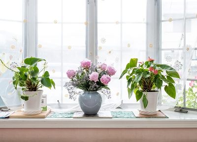 うえだ歯科・矯正歯科クリニック メタルフリー