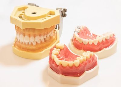 タクデンタルクリニック 予防歯科