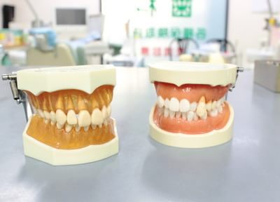 全身の健康状態にも影響を与える歯並びや噛み合わせ