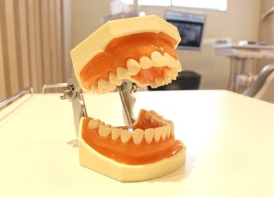 よしとみ歯科 入れ歯・義歯