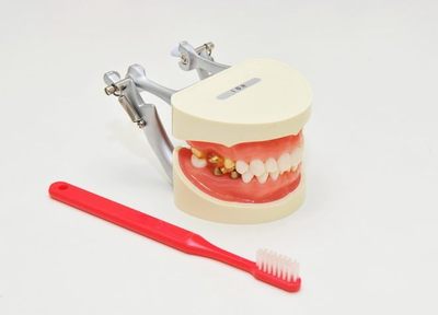 岸根公園歯科 予防歯科
