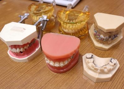 歯並びだけでなく、噛み合わせや表情にまで配慮した当院の矯正治療