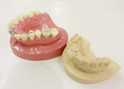 一般部門の歯科医師は全員が拡大鏡を使用し、お口全体のバランスを見ながら治療を行っています