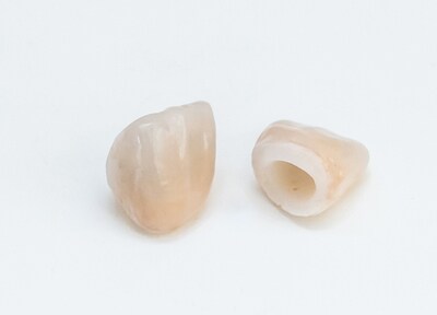 セラミック加工システムを導入