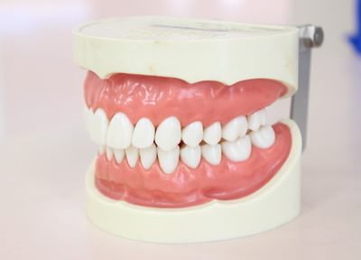 抜歯に対する考え方