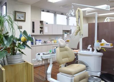 Q.どのような入れ歯治療をご提供していますか？