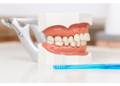 Ｊ歯科室 予防歯科