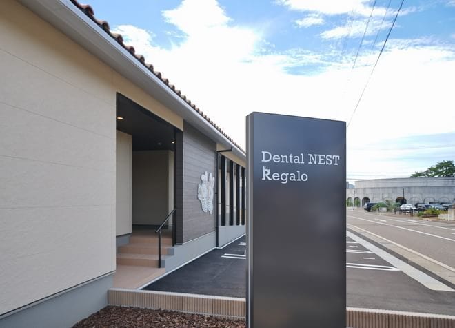 Dental NEST Regalo