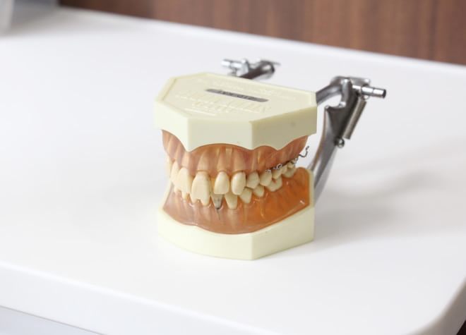Q.入れ歯・義歯をお作りになる歯科技工士さんはどのような方ですか？