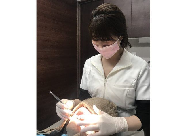 のだ歯科医院（写真2）