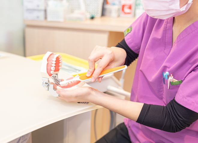 歯周病治療を中心に予防歯科にも力を入れています
