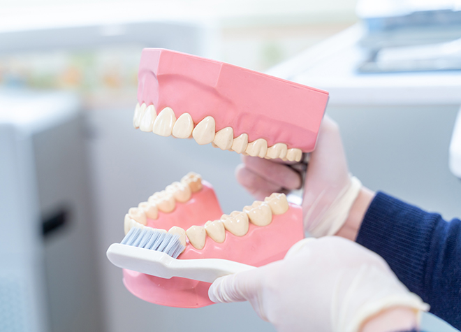 歯周病の予防や治療を通して、将来的に少しでも歯を残せるよサポートしていきます