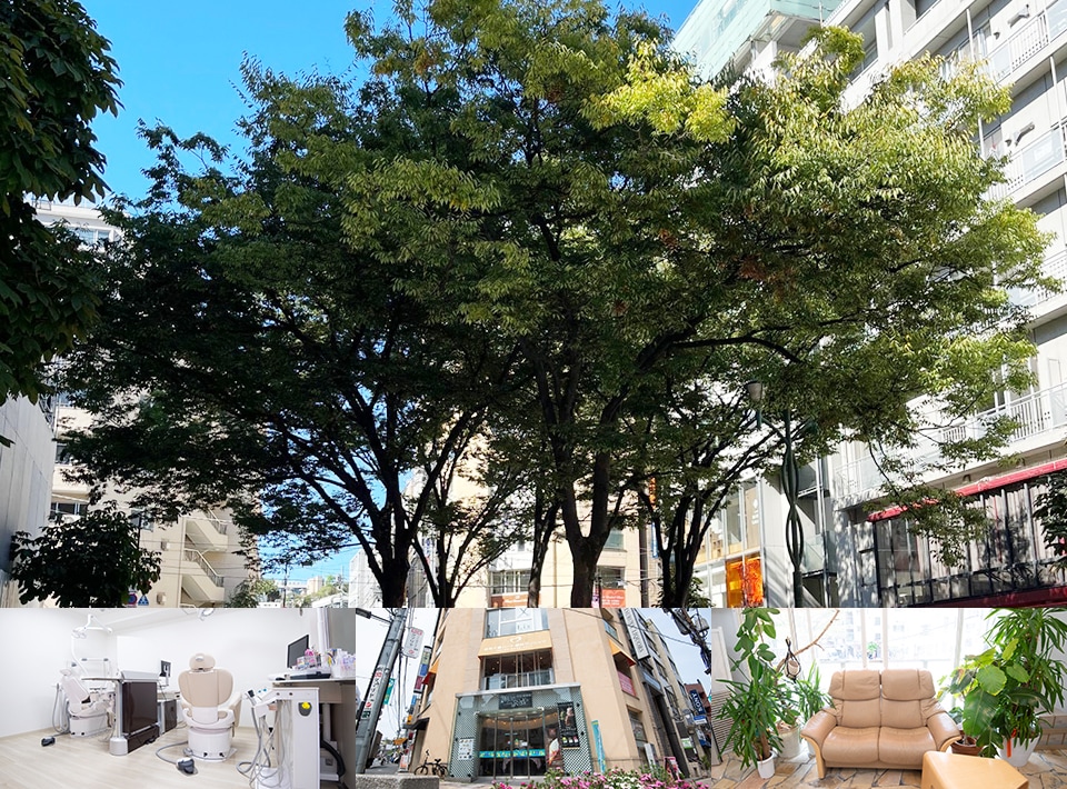 麻布十番ハート歯科クリニック