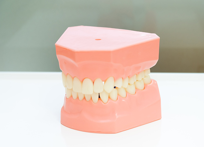「いかに健康的なお口作りをするか」に着目した虫歯・歯周病予防を実施しています