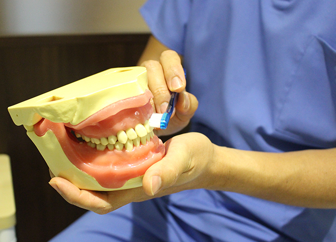 早期発見・早期治療を意識し、ご自身の歯を残すための予防が大切です