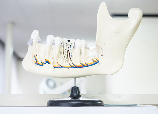 自分の歯を残すためにも、酷くなる前に定期的な検診へお越しください