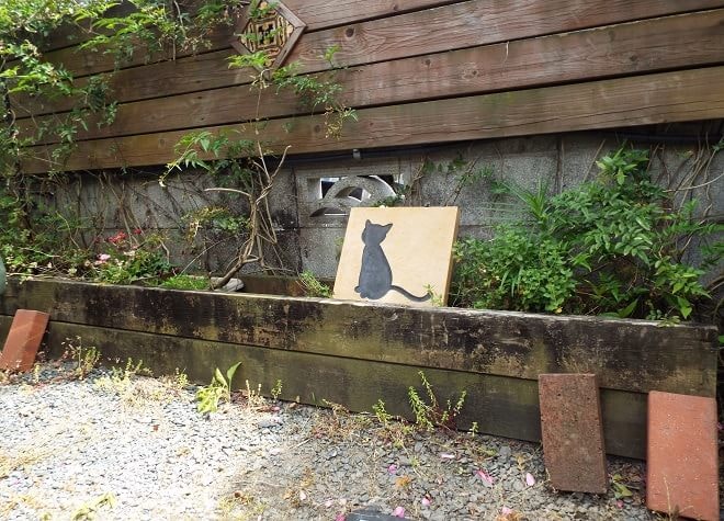 渡部祐子歯科の画像