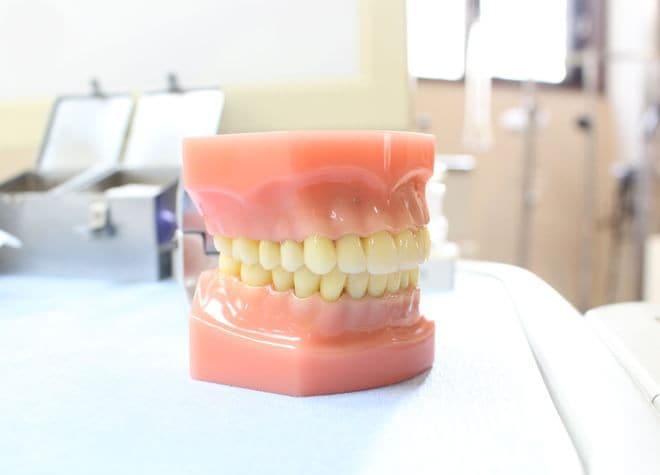 入れ歯 義歯の治療内容 伊藤歯科医院 川口市 川口元郷駅 Epark歯科