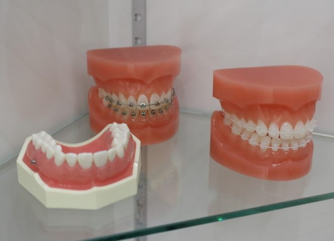 歯科衛生士と歯科技工士との連携で、それぞれのお口に合わせた入れ歯・義歯を提供しています